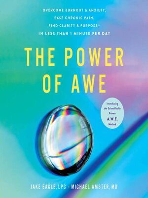 cover image of The Power of Awe
